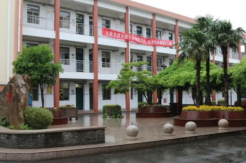 【开济|校园公告】绿意盎然 等你到来——头桥小学2020年网上"校园