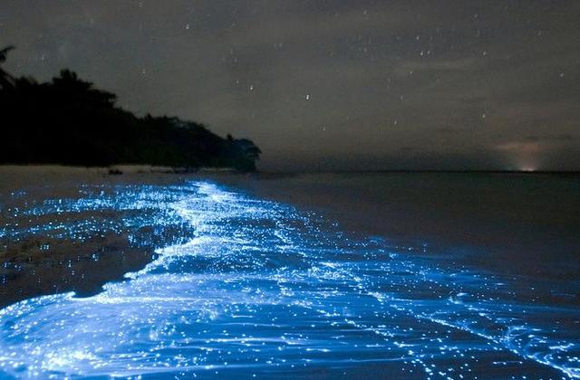 波多黎各:极致浪漫又美丽的避世小岛~再现《少年派》奇幻梦境!