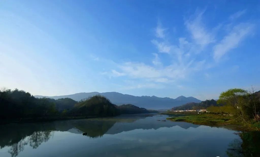 西乡牧马河畔鸟语花香陈捷宣