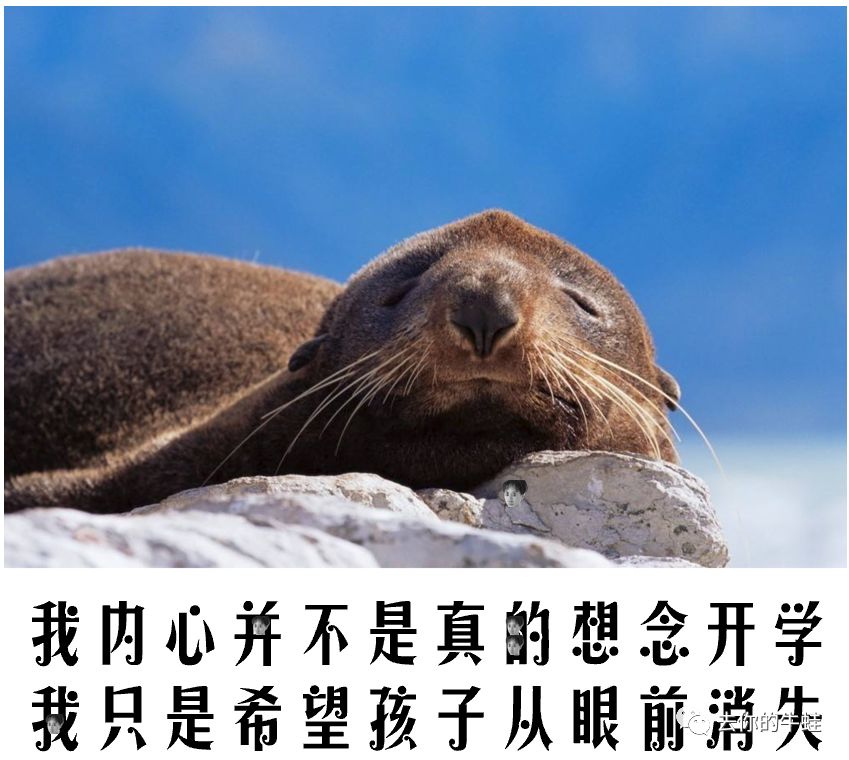 神兽再不归山,我怕就要归西