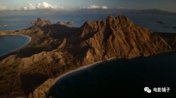 体长超过三米,食肉食腐的科莫多巨蜥,便是这岛上的统治者.