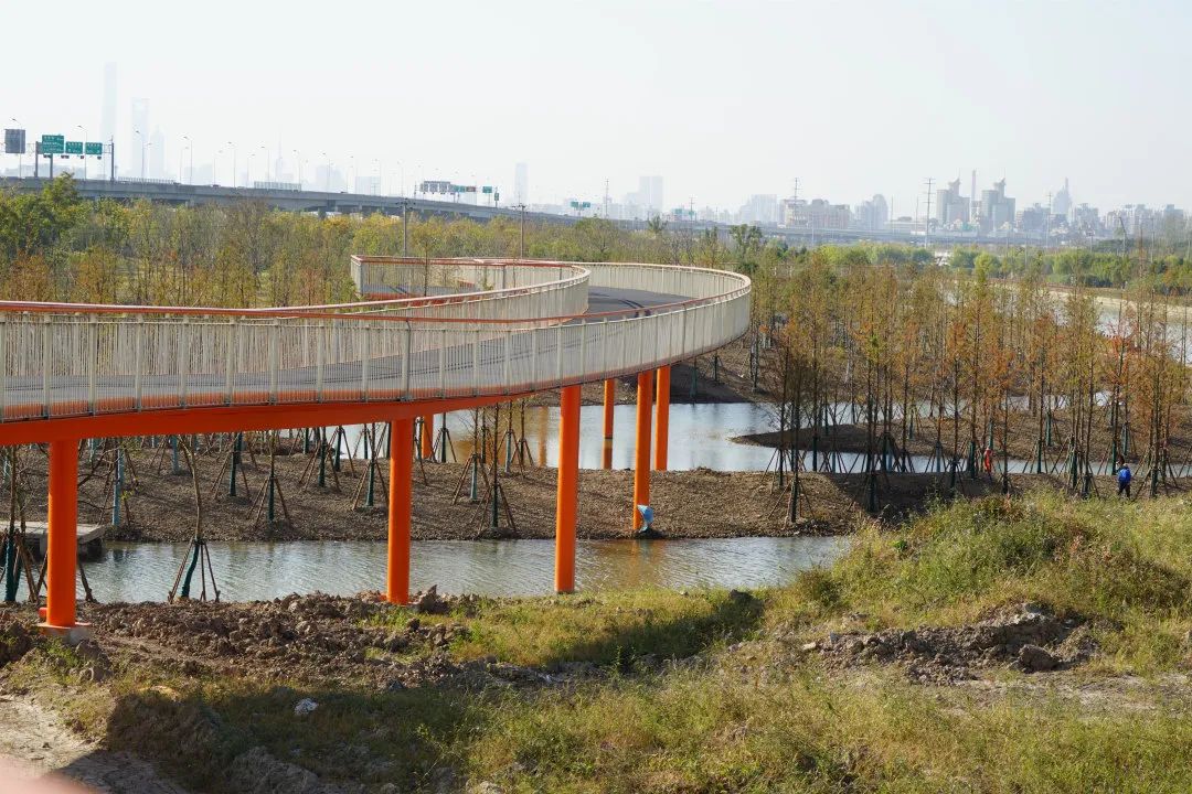 森呼吸浦东这几块楔形绿地正在建设中你最期待哪个