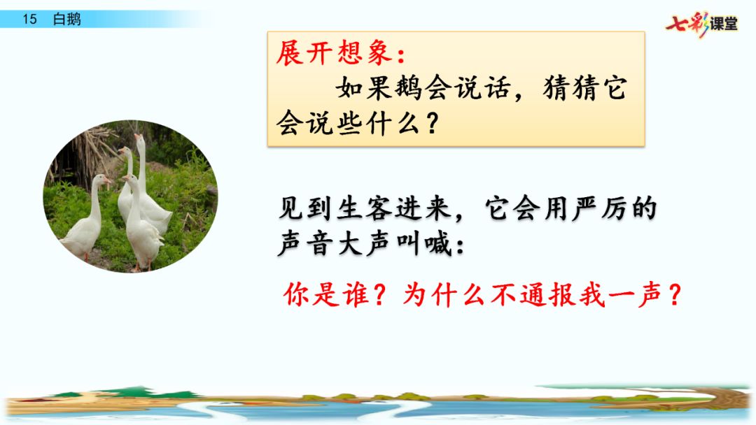 送统编版语文四年级下册四单元课文15课白鹅教学视频图文讲解同步练习