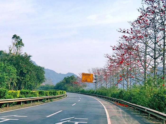 木棉花在南疆国门第一路上,还有一群特殊的"红木棉",他们是崇左高速人