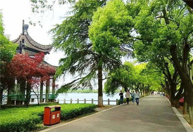 拓基江山郡|春分好時光 當遊園踏青 縱享人生繁華_銅陵