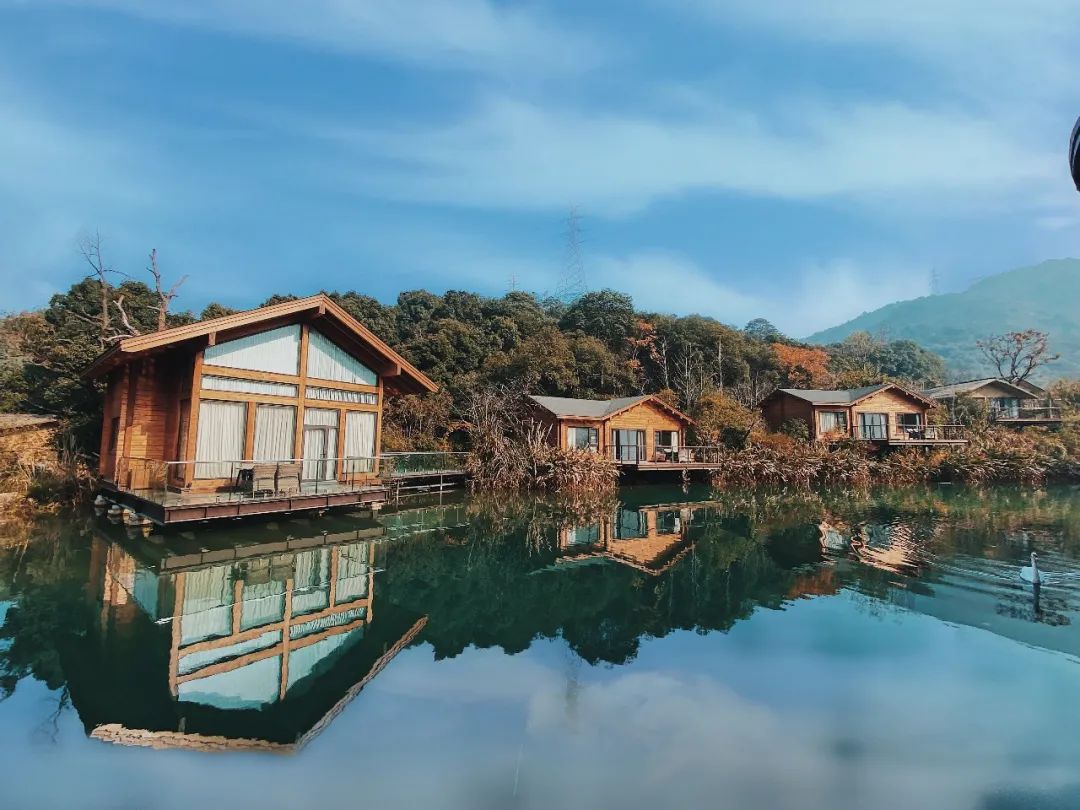 杭州开元森泊丨06699起住网红木屋芙罗拉花园打卡现实版爱丽丝仙境