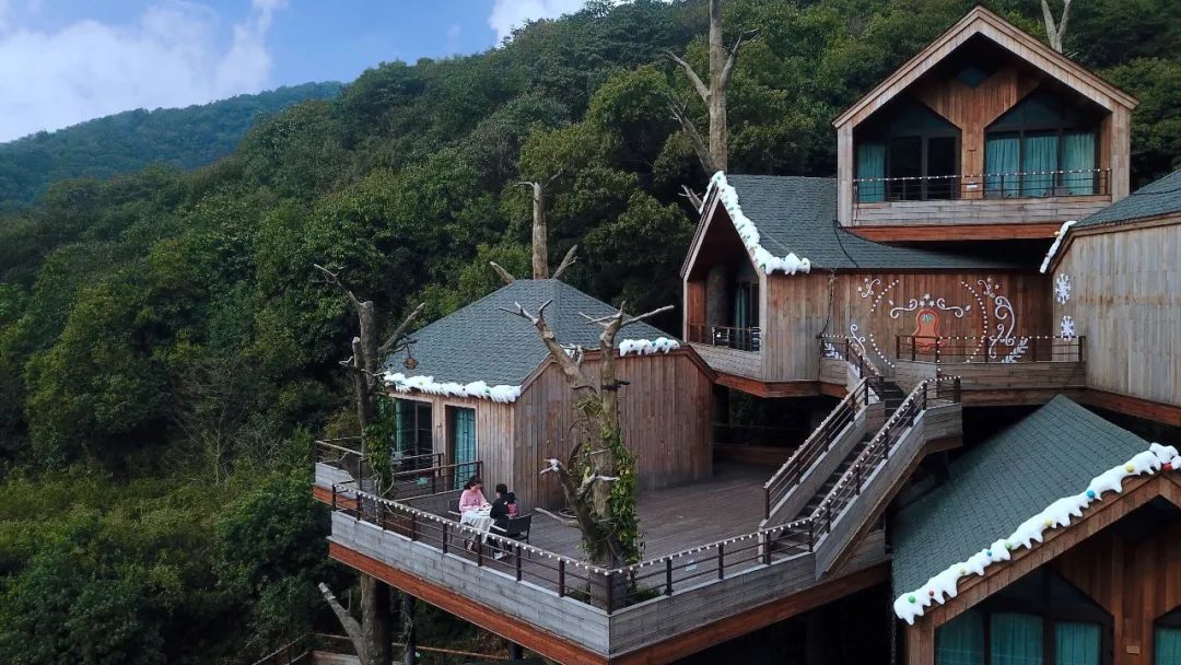 杭州开元森泊丨06699起住网红木屋芙罗拉花园打卡现实版爱丽丝仙境