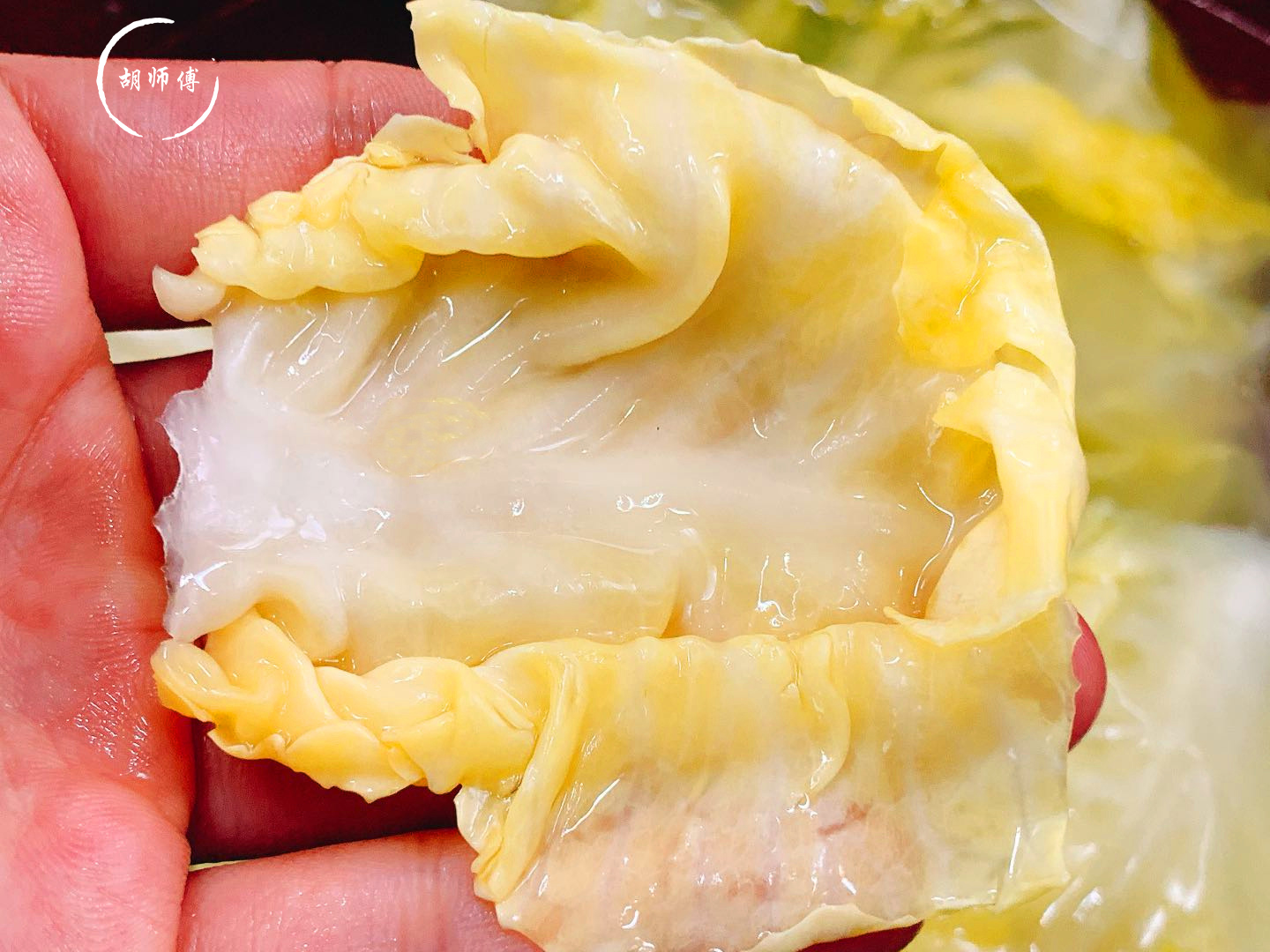 腌酸包菜不能直接加盐腌教您一招包菜又酸又脆吃一年都不坏