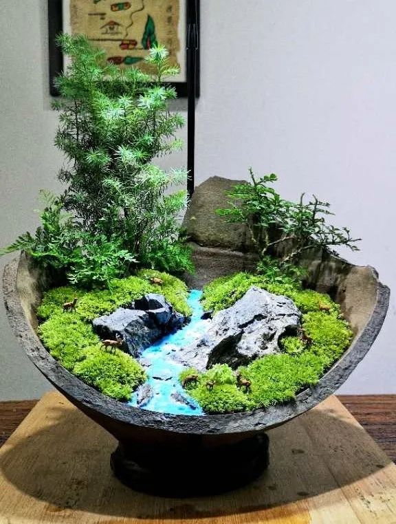 福田区市民园艺学院线上课微景观打造预告