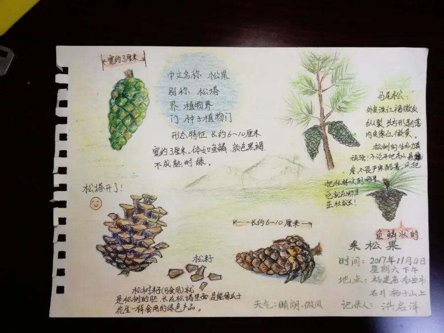 帶你感受自然力量|全國青少年自然筆記大賽優秀作品欣賞(第三期)_中國