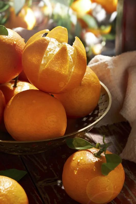 吉他盒褃的酒》李星然《我也想要》龐劍《黑公羊威士忌》咖啡與茶絤別