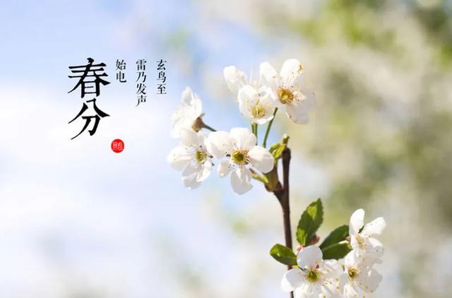 今日春分,2020春分节气祝福语大全,春分图片带字带祝福语