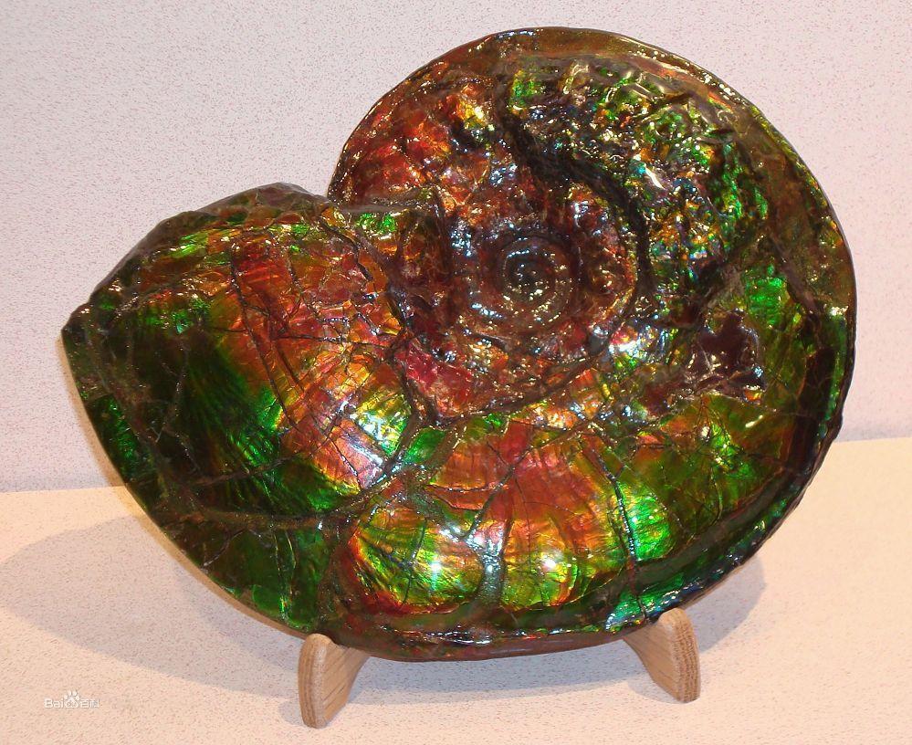 宝石化石与宝石是两种不同的概念,但在斑彩石的身上,化石与宝石的特质