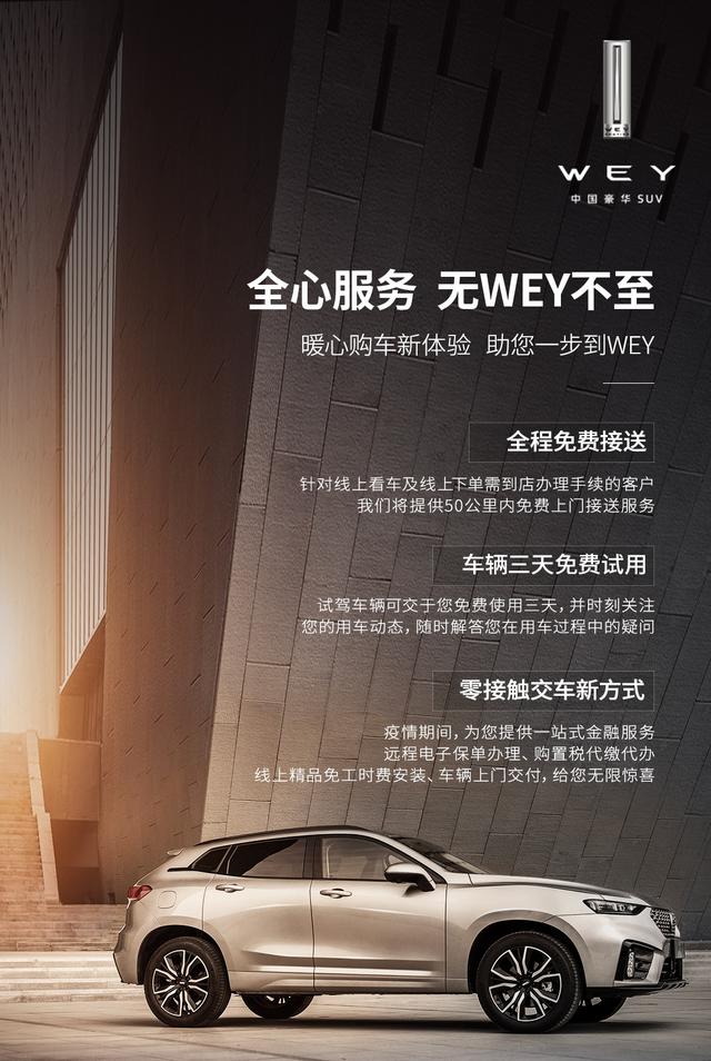 无所wey聚车友会奔走抗疫,wey品牌大招助力!