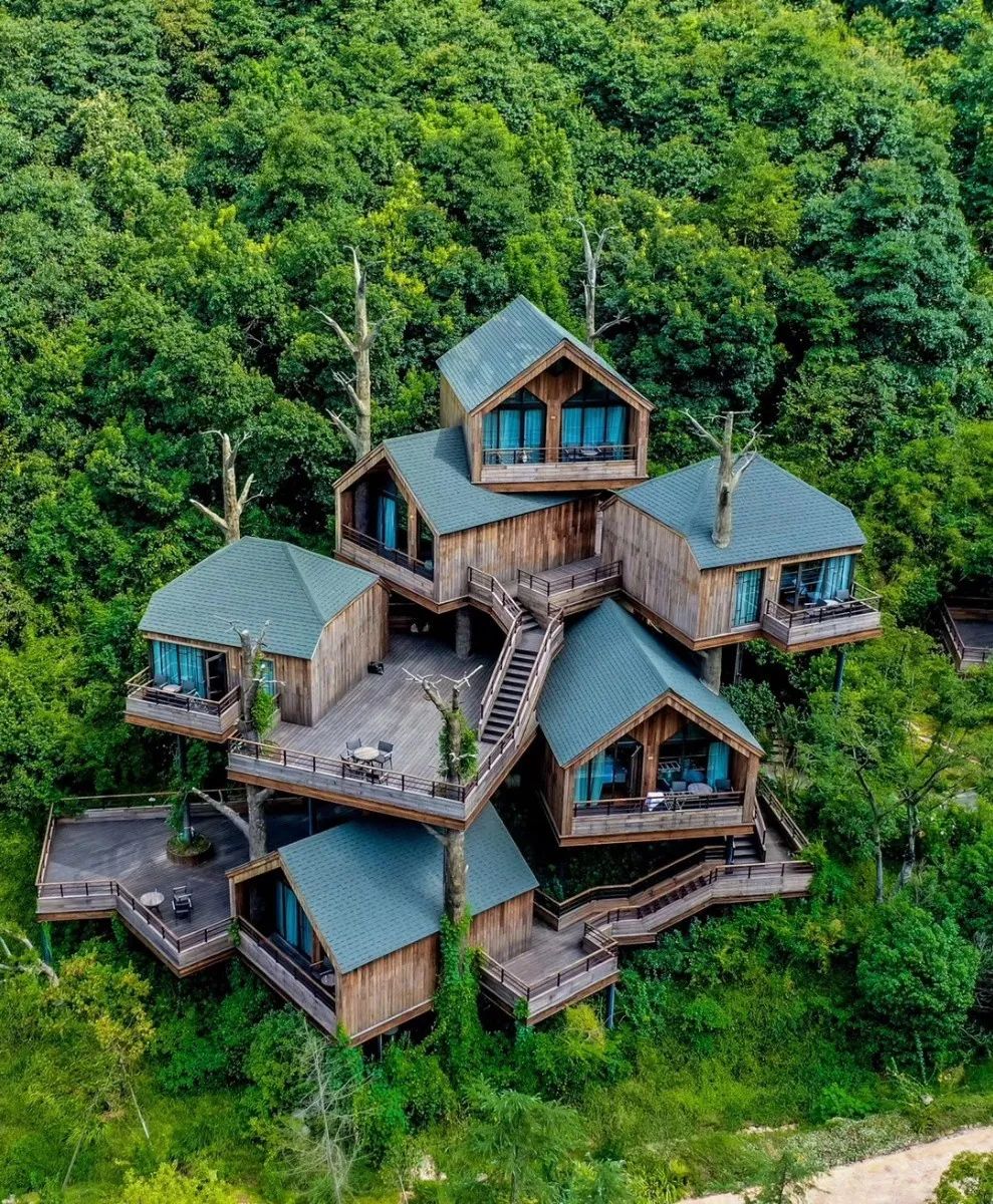 杭州开元森泊丨06699起住网红木屋芙罗拉花园打卡现实版爱丽丝仙境