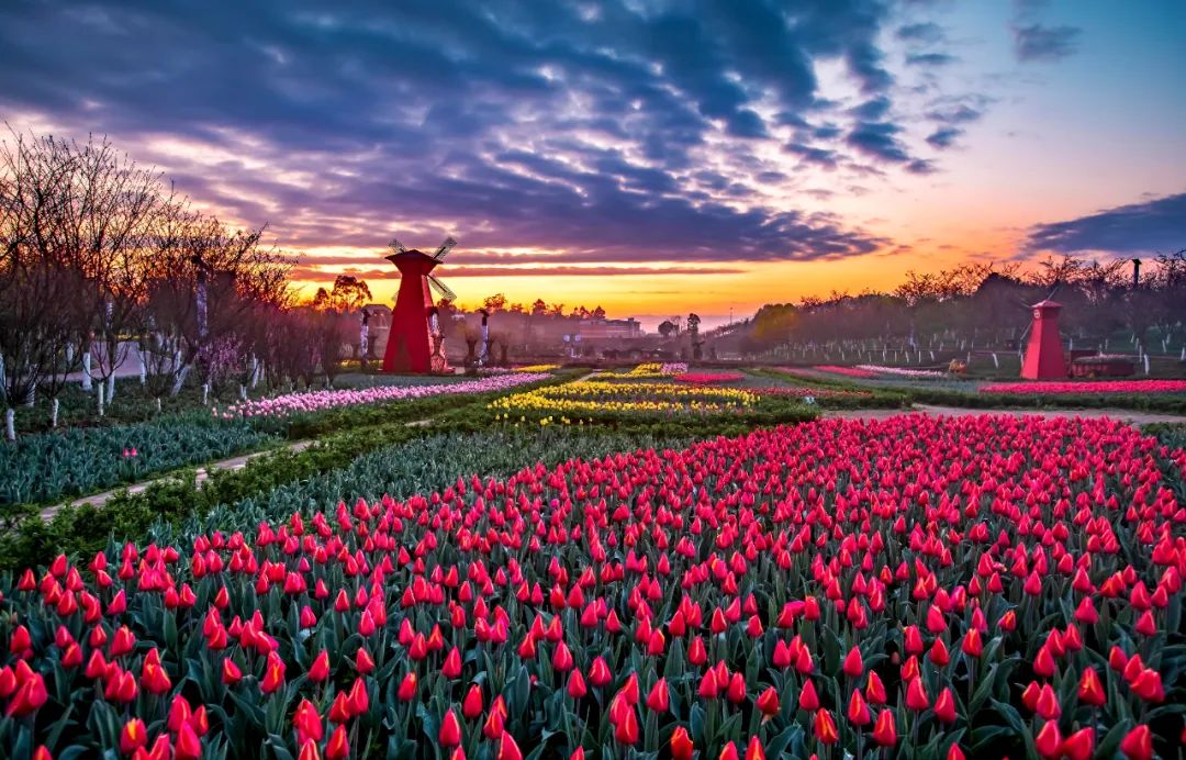 重磅好消息!震撼非遗演出 一键微信购票!轻松享欢乐!