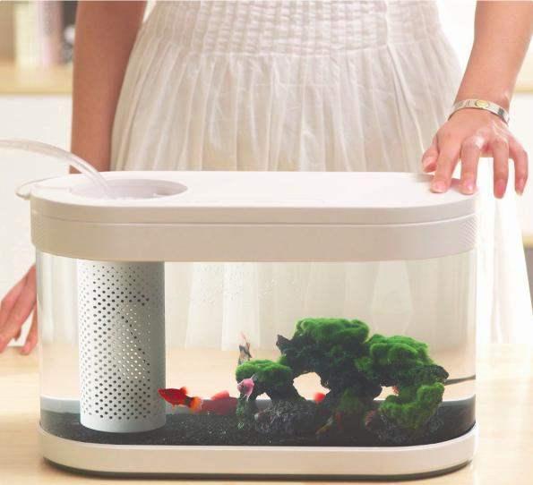 小米推出一款养鱼神器轻松排水自带供氧一键喂食你心动了吗