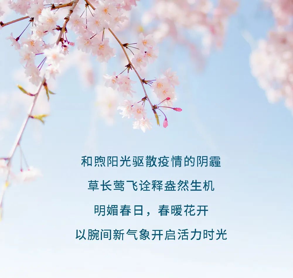 内容来源品牌,如有侵权请24小时内及时联系删除