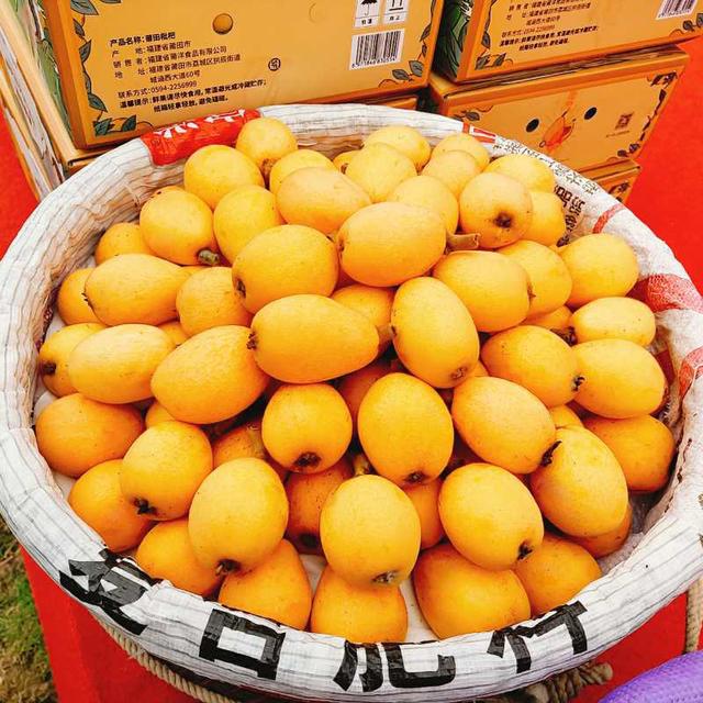 总局组织的莆田枇杷地理标志产品保护申请的审查,主要分布在仙游县