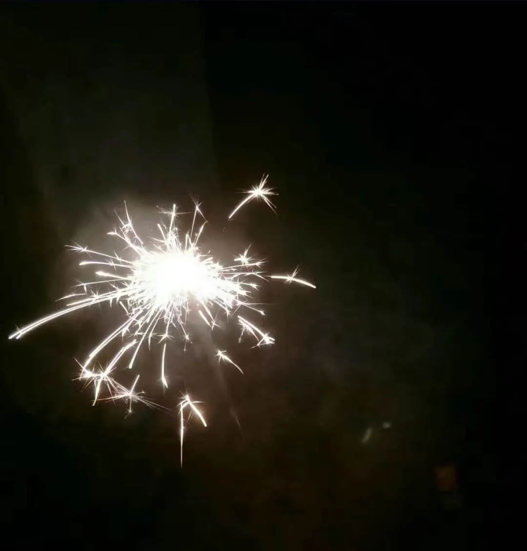 作品名称:《追寻》作者:彭宇昊 17级广播电视编导作