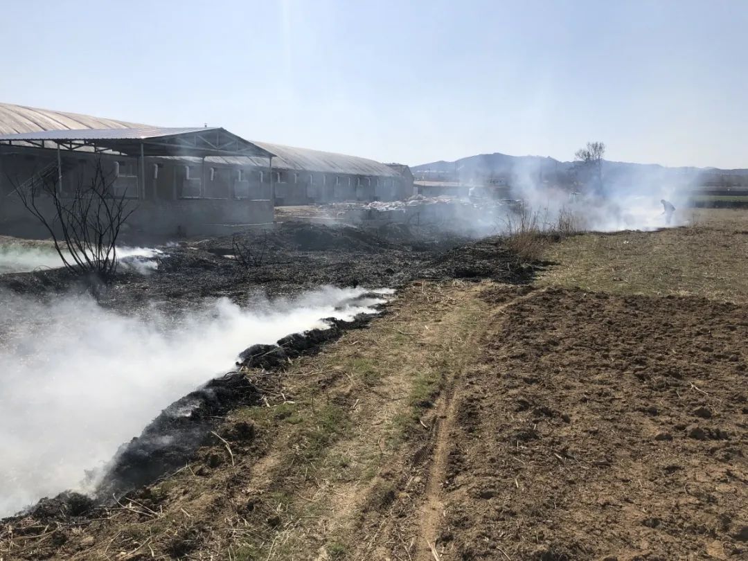 龙口人森林防火人人有责