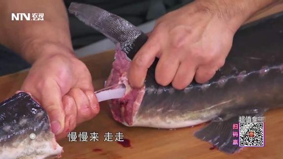 30多斤的鲟鱼现场完整取龙筋