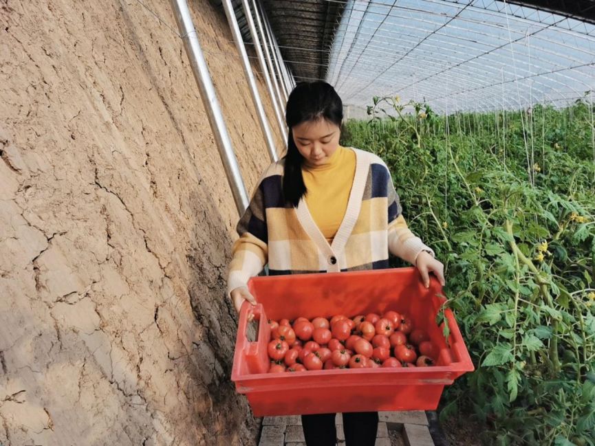 扶贫助农!大桥镇女干部变身吃播带货