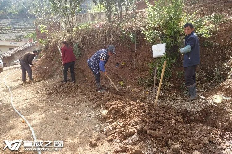 建档立卡贫困户刘陆斤说:"我家有近9亩柑橘地,土地流转费有5000元,我