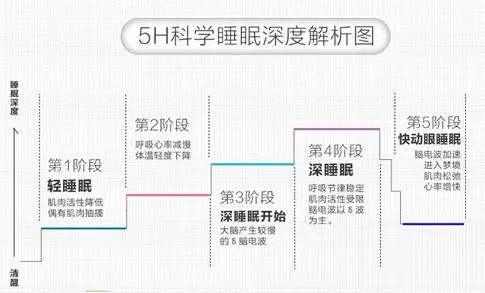 第三个阶段和第四个阶段中,人体进入深度睡眠,人的血压,呼吸和心率都