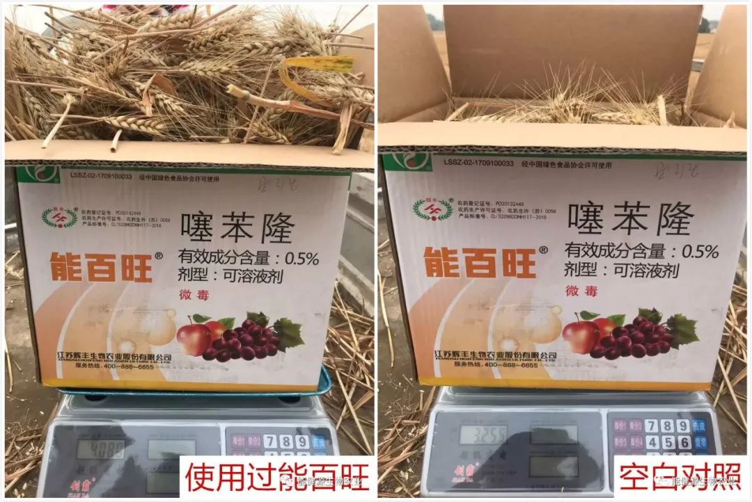 能百旺03两增两好30分钟3万人在线参与什么课如此火爆