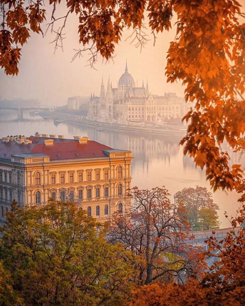 这是一场复古秋色系的婚礼既温柔又充满活力