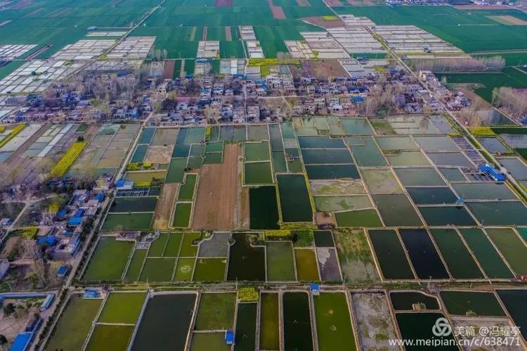 水乡新貌镇平县侯集镇如诗如画乡村美景快来为家乡打call