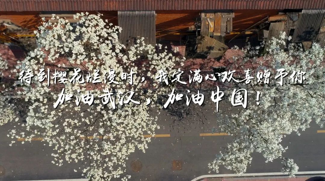 合工大抗疫主题微视频首发春暖花开静候你来