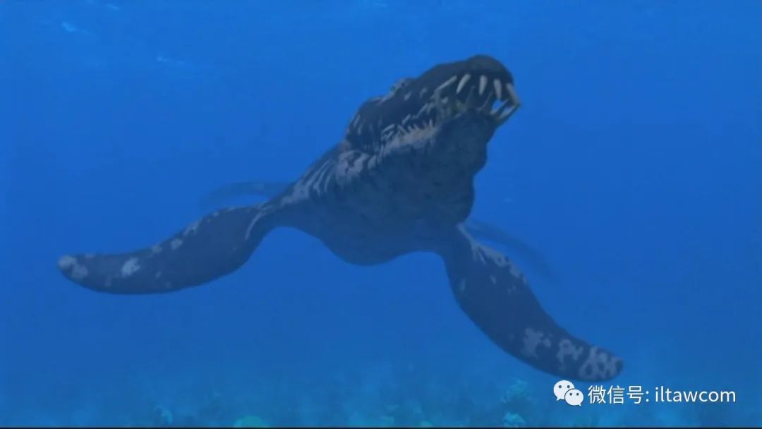 海洋科普1033侏罗纪海洋中的霸主滑齿龙