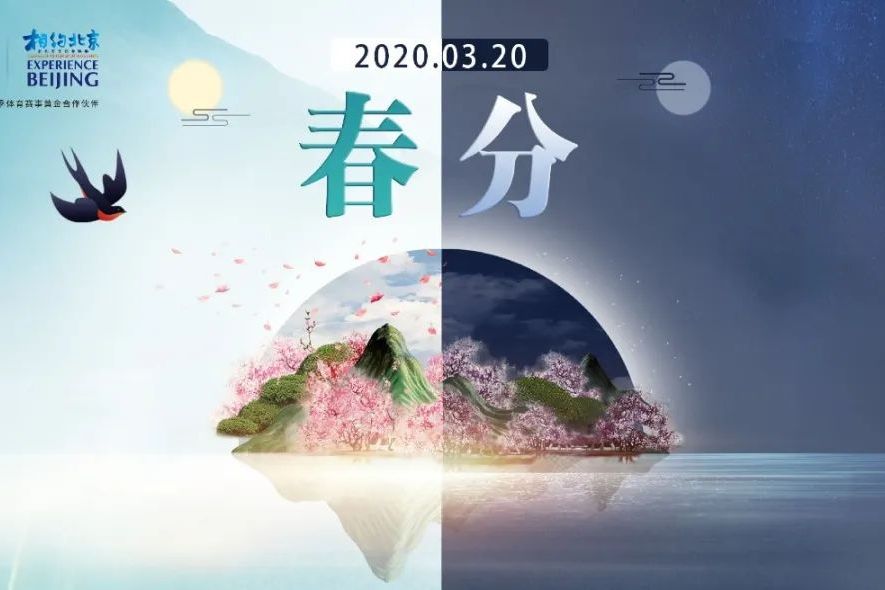 今日,春分,不负好时节