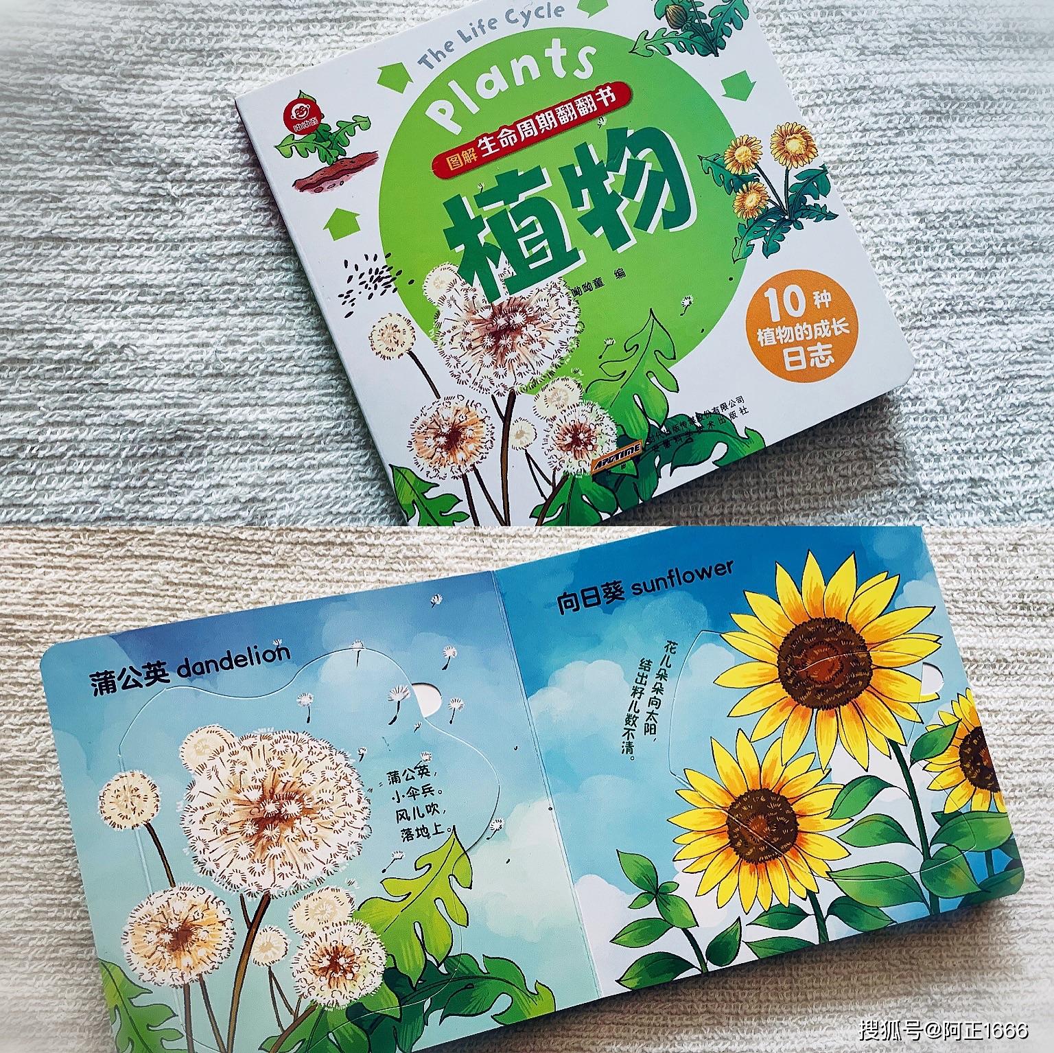 最终,孩子选了《图解生命周期翻翻书》中的《植物》作为3月上半灶最