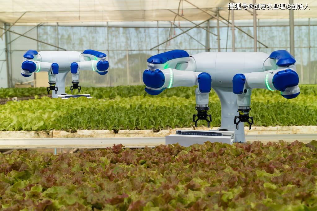 加快农业人工智能研发应用势在必行