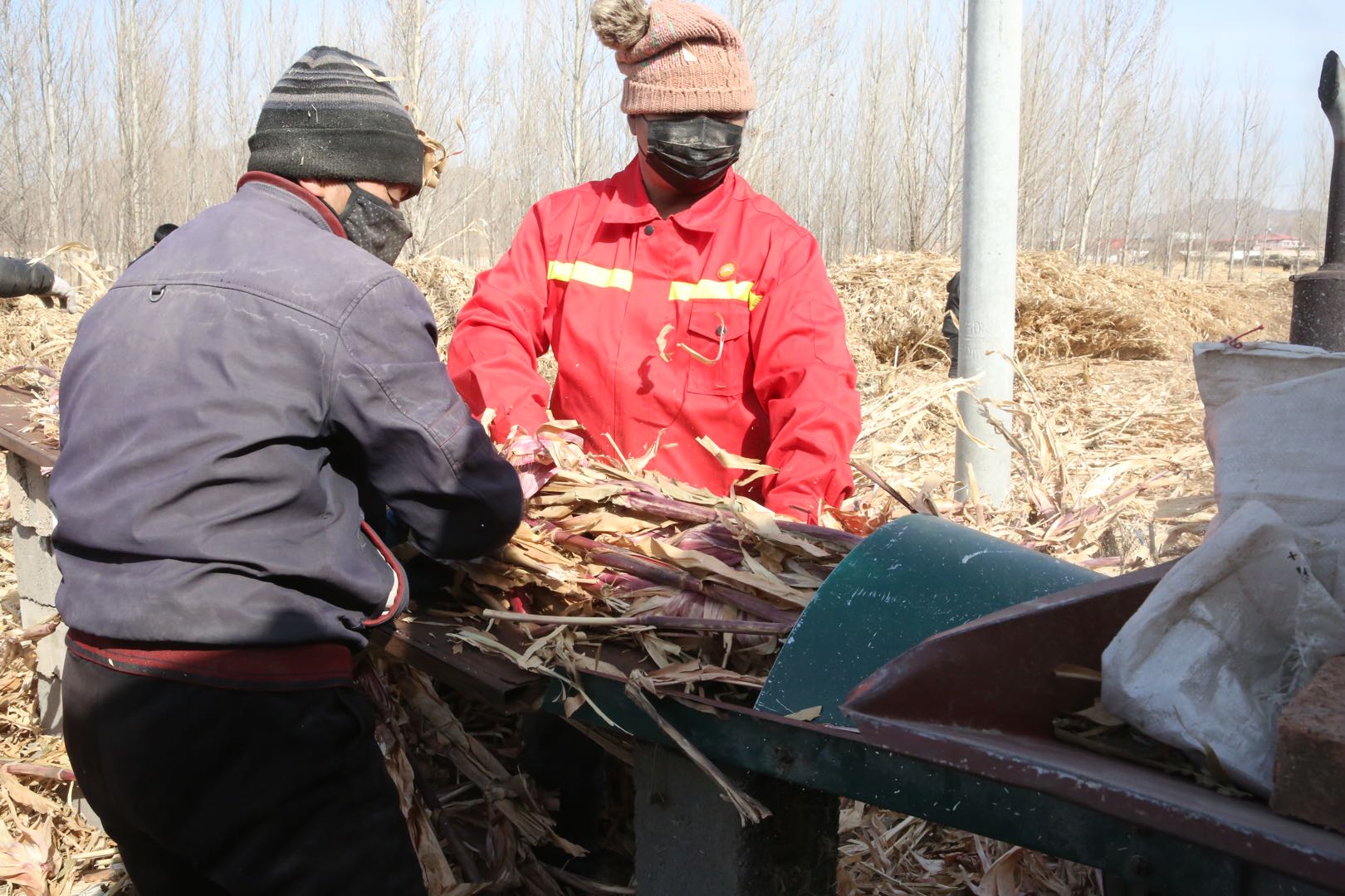 抓牛鼻子做牛产业过牛日子