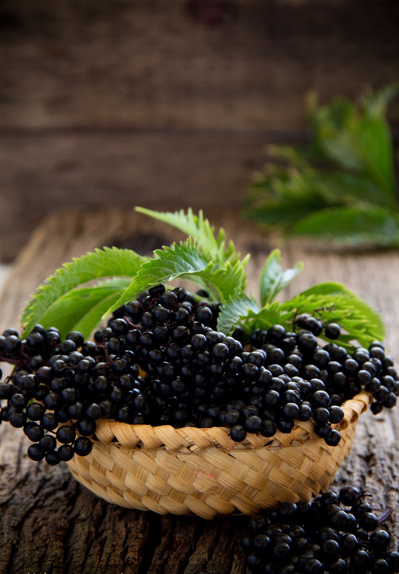 柠檬派配上接骨糖浆用接骨木莓花点缀