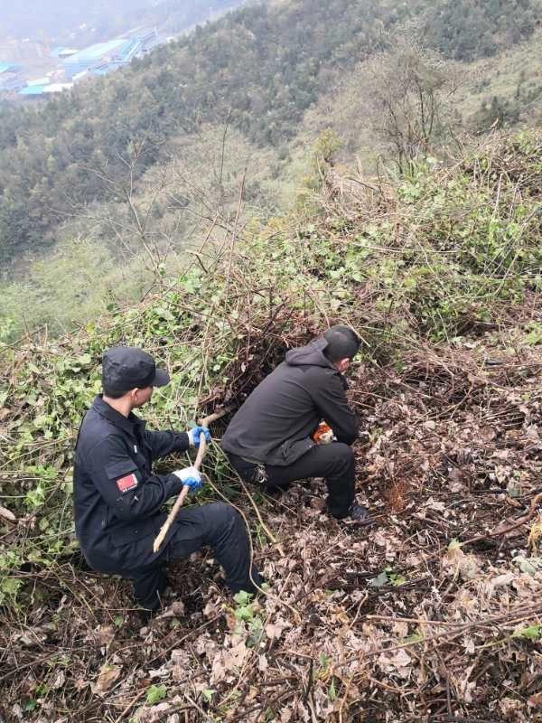因借款等原因心生怨恨湖南一男子将一对母女毒死并抛尸