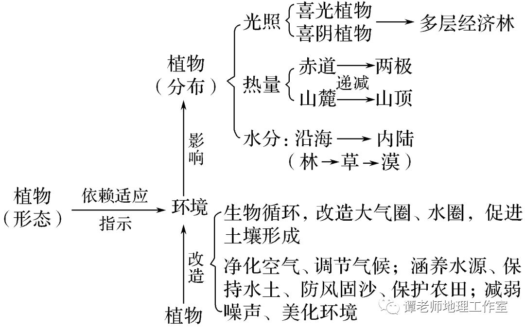 将植物与地理环境的关系归纳整理,系统掌握——知识结构法植被生长