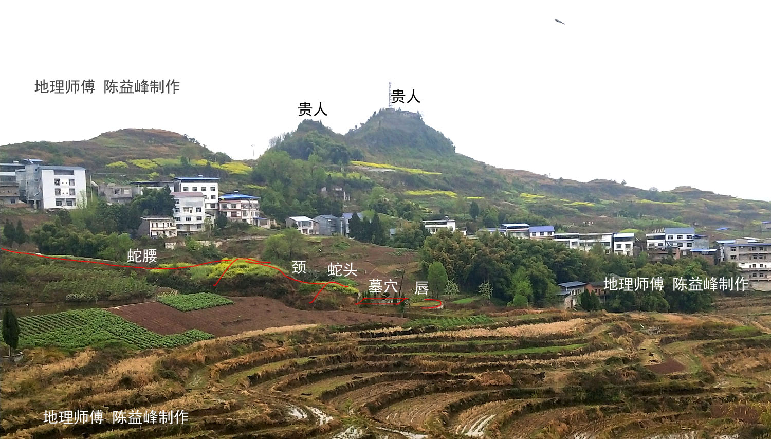 下山蛇形风水葬嘴图片