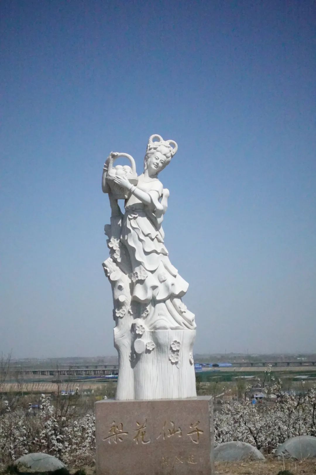 文化旅,绘声绘色—全市群文工作者当"导游"系列活动之昌邑博陆山_梨花