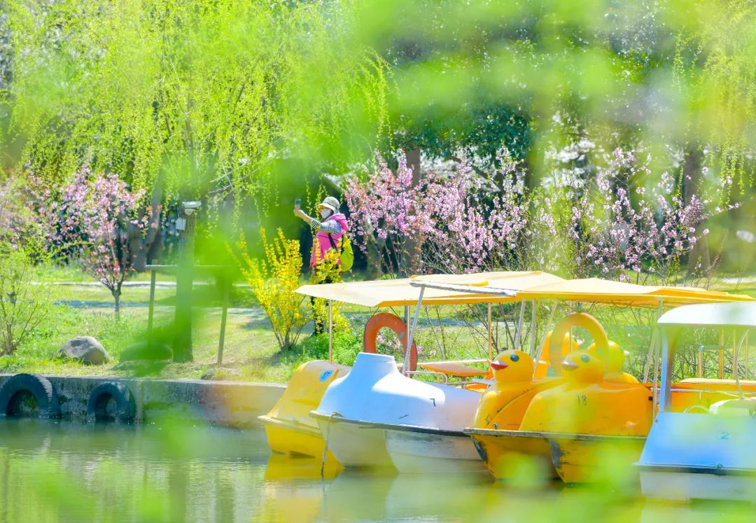 春天来啦~快和朋友,家人一起去踏青吧!(内有精彩vlog)