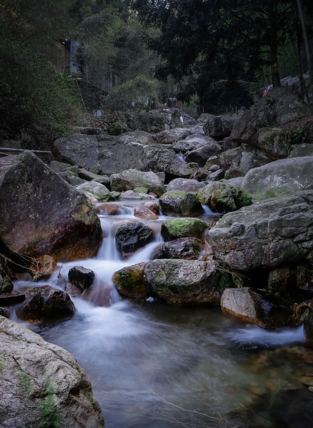 看山玩水游古村陈溪春日游玩线路指南来啦