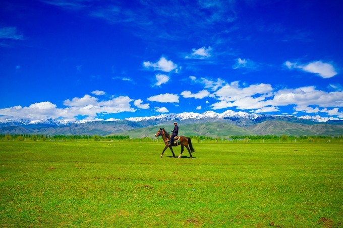 醉美那拉提靓丽塔吾萨尼集草原山丘森林雪山于一体