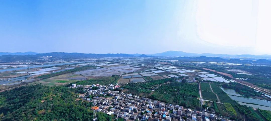 在你乡下斗门这10条村每个村投入2500万重点打造