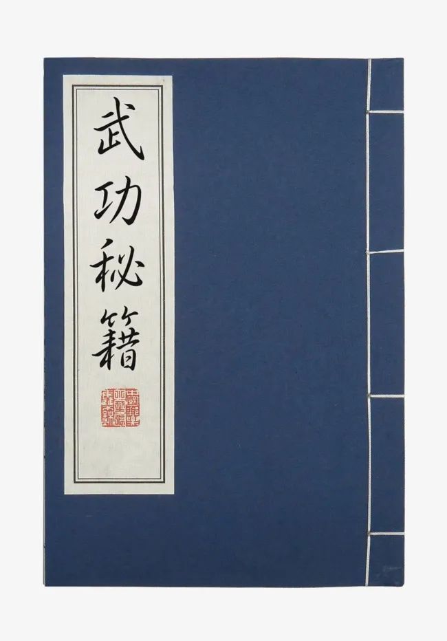 桩功包括静态和动态行桩的功法,可见内功的修炼着重炼气的方法.