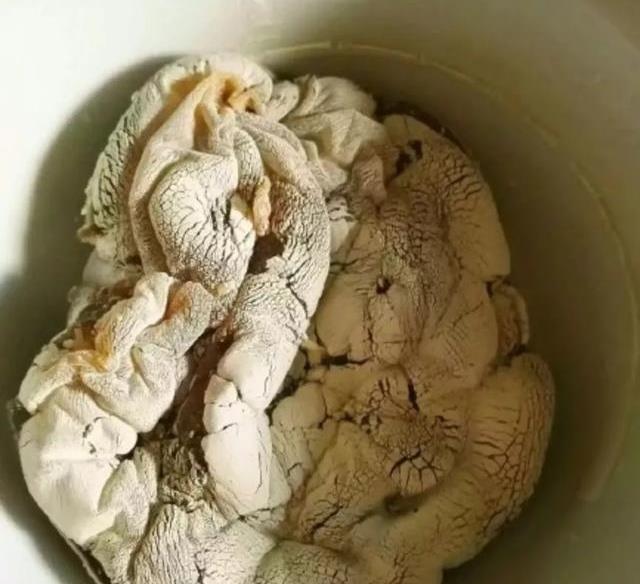 烂抹布系列之蒸鸡蛋包子和蒸锅一起阵亡,隔着屏幕都能闻到一股糊味.