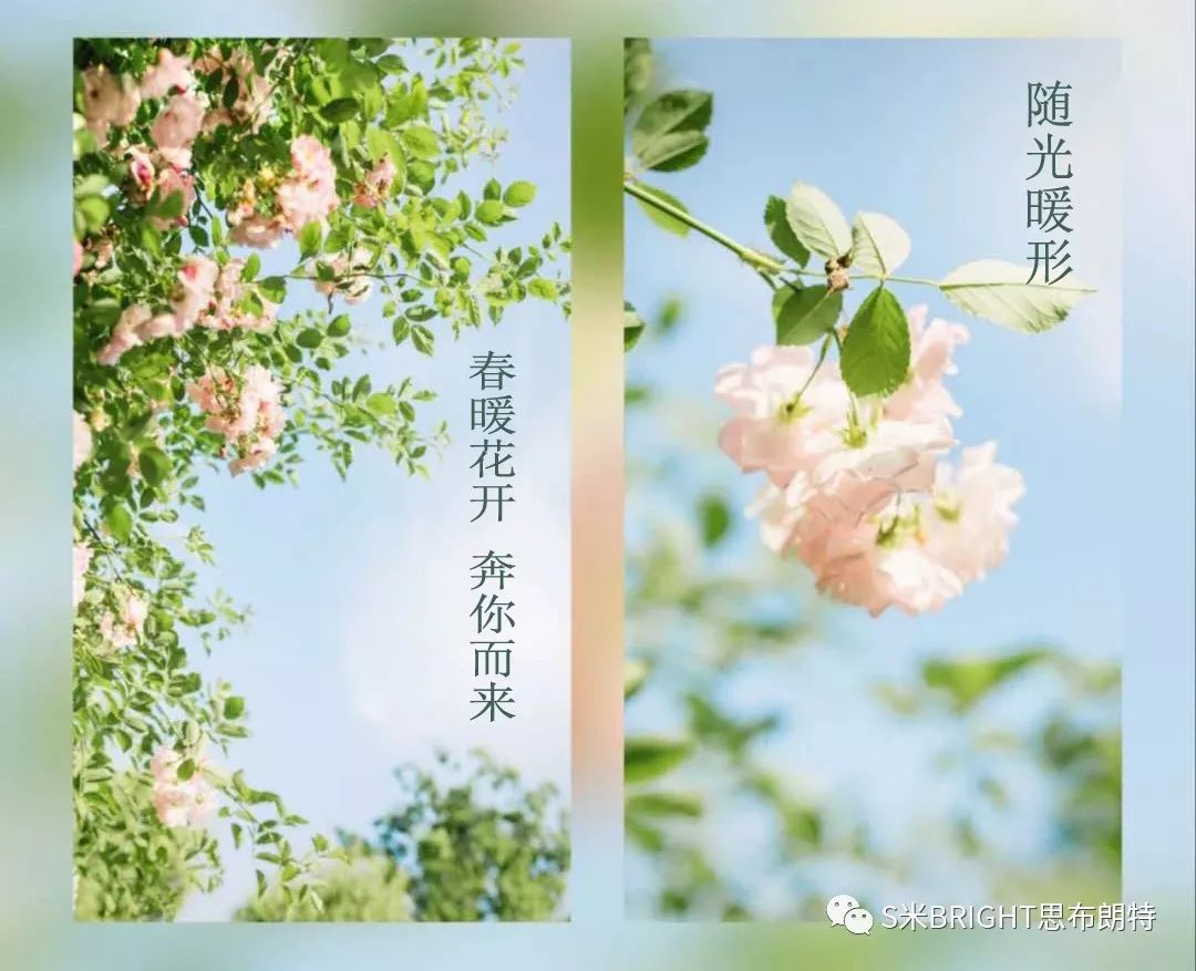 春暖花开奔你而来